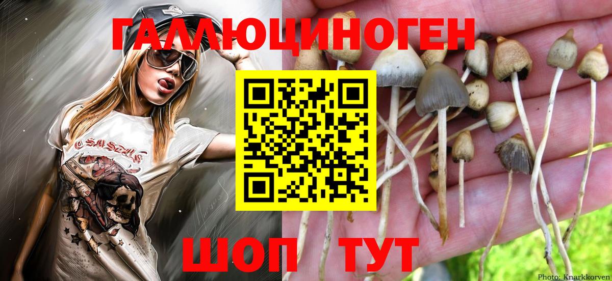 Псилоцибиновые грибы GOLDEN TEACHER  Вход с VPN  Асбест  Галлюциногенные грибы мухоморы 